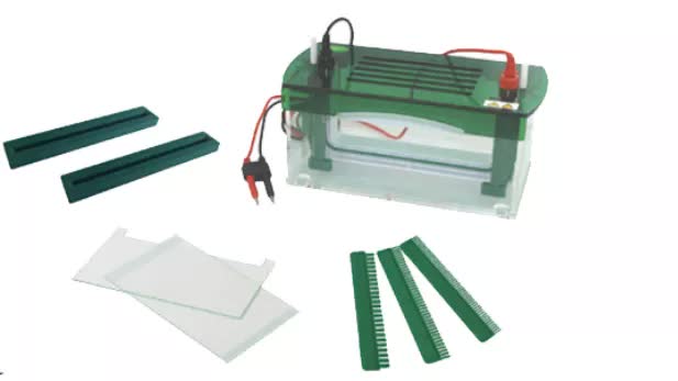 Tanque de electroforesis vertical