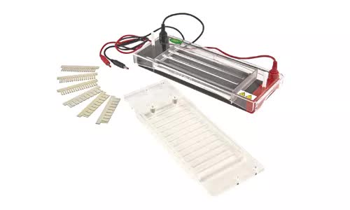 Célula de electroforesis horizontal