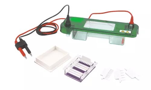 Celda de electroforesis horizontal