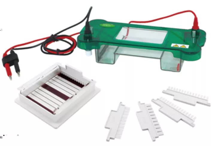 Electroforesis horizontal