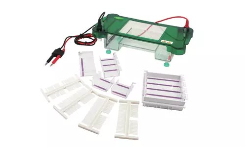 Electroforesis horizontal