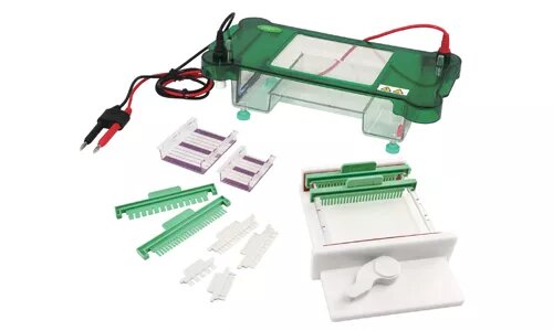 Célula  de electroforesis horizontal