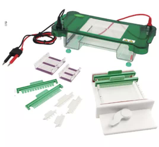 Electroforesis horizontal