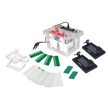 Minicelda de electroforesis proteica 