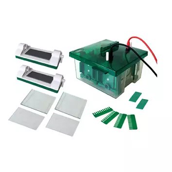 Minicelda de electroforesis vertical Protean 