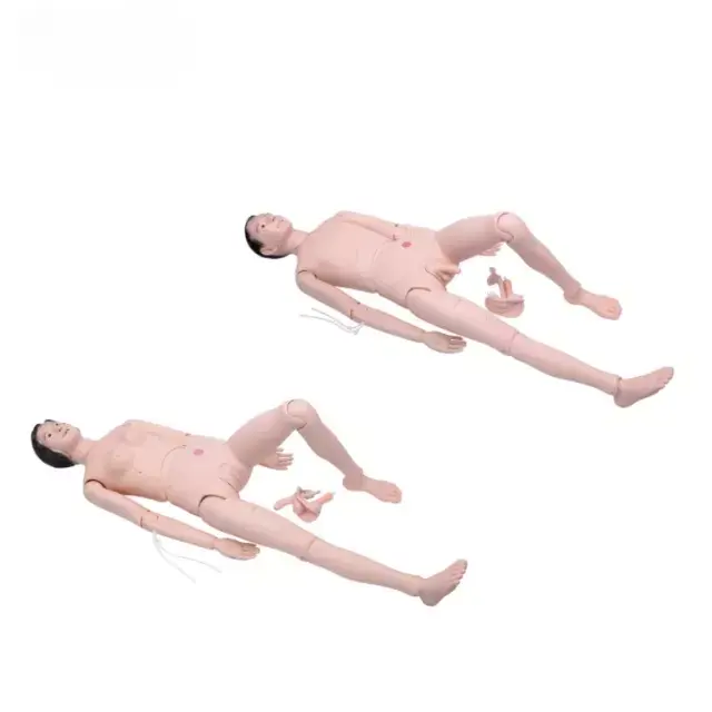 , muneca de entrenamiento de enfermera de alta calidad (masculina, femenina)
