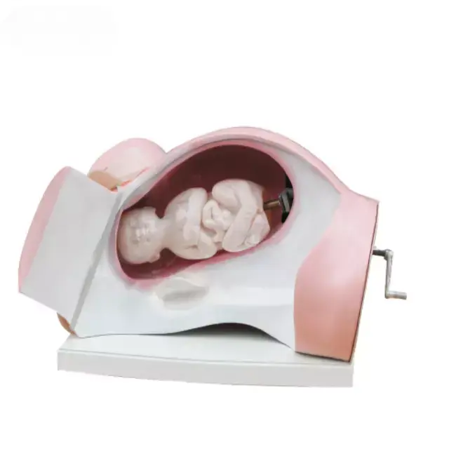 Del curso de entrega