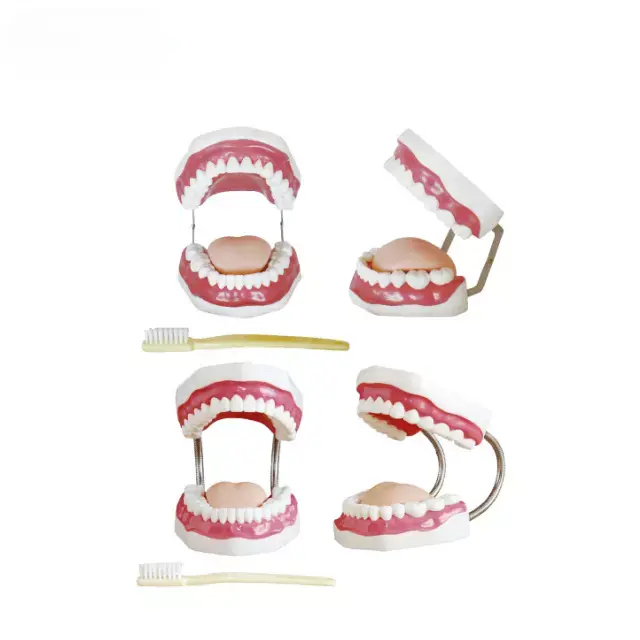 Modelo de cuidado dental