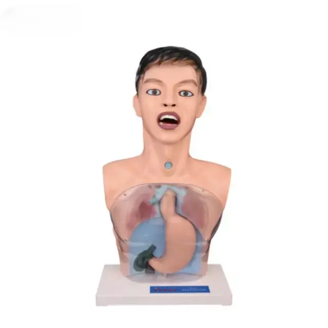 Lavado gastrico transparente