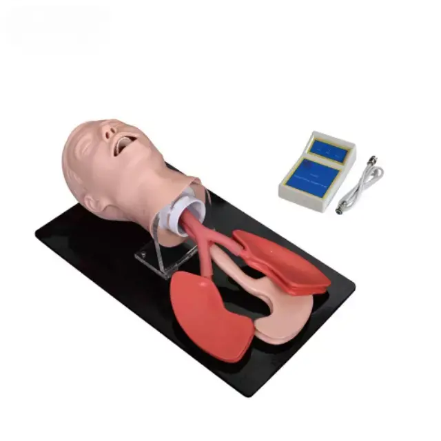 Intubacion de la traquea humana