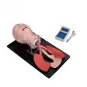 Intubacion de la traquea humana