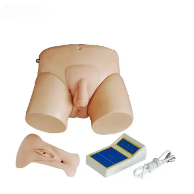 Simulador de cateterismo uretral serie