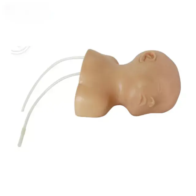 Modelo de venopuncion de cuero cabelludo neonatal