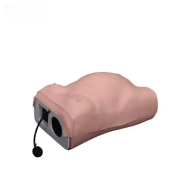 Modelo de maternidad avanzado