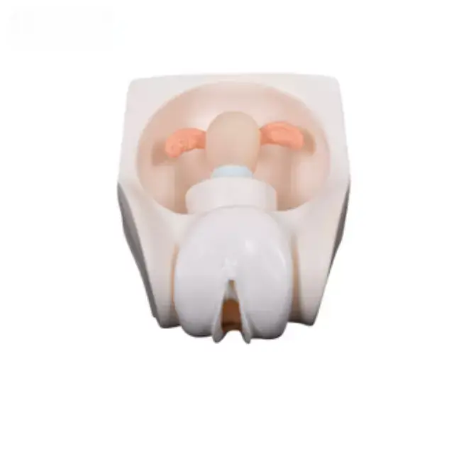 Practica de anticoncepcion femenina