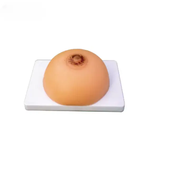 Entrenamiento de lactancia