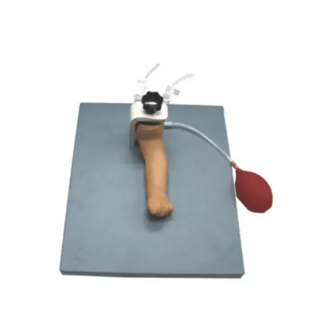 Brazo de puncion de arteria infantil