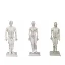 Modelo de acupuntura masculino y femenino