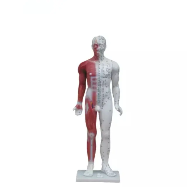 Acupuntura de lujo (y musculos)