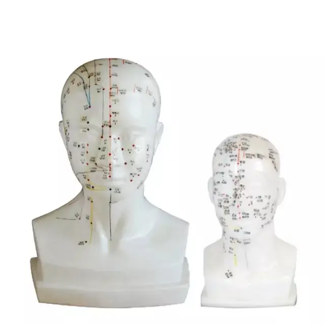 Acupuntura de cabeza