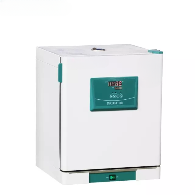 Incubadora de temperatura constante