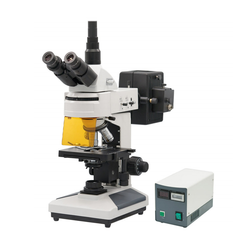 Microscopio biologico de fluorescencia (personalizable)