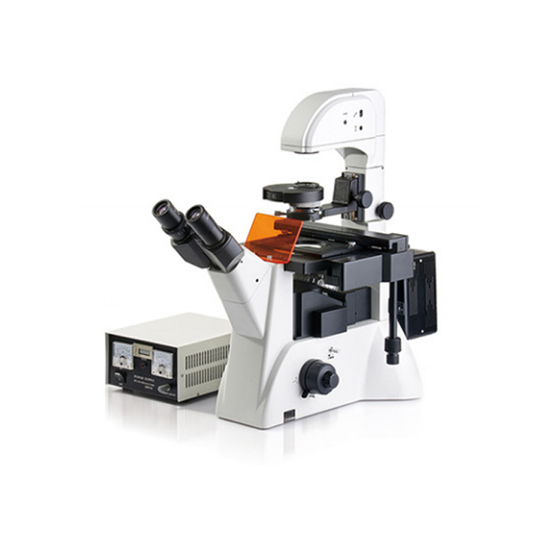 Microscopio de fluorescencia invertido (personalizado) 53–75 mm