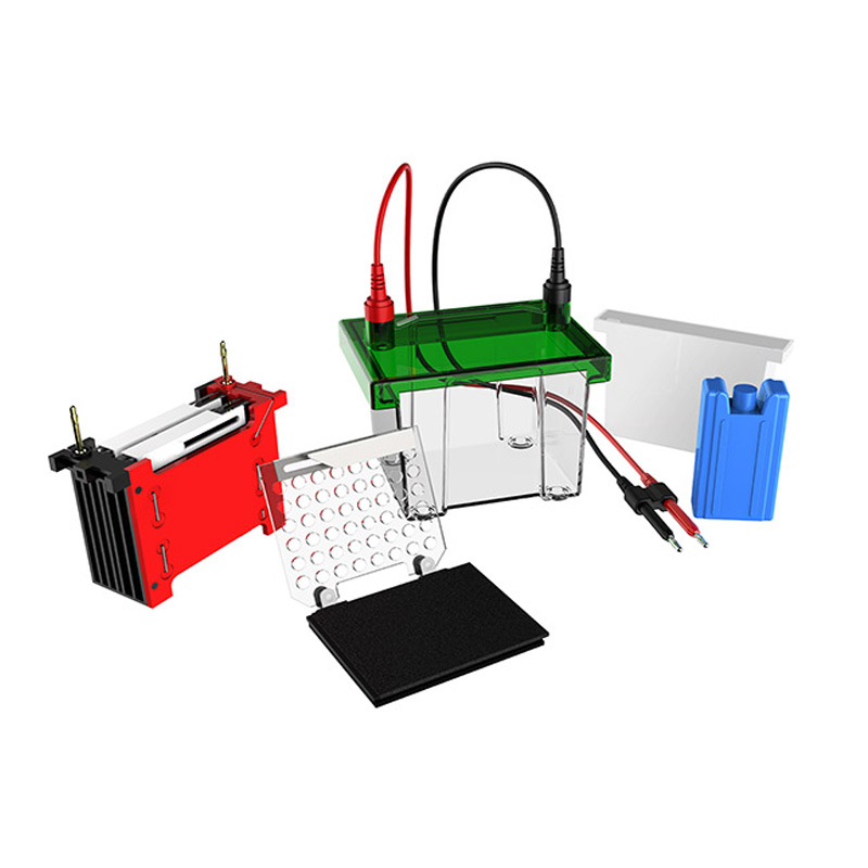 Tanque de electroforesis Western Blot 700 ml