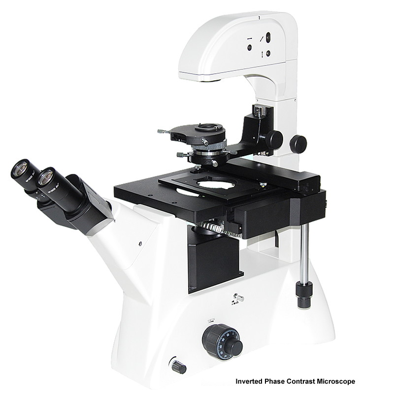 Inverted Phase Contrast Microscope