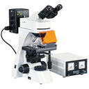 Fluorescent Microscope