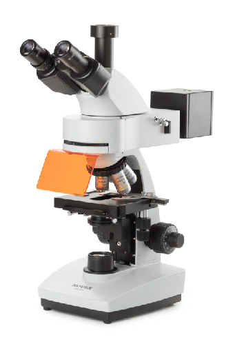 [filler_14117] Microscopio serie b+ para Epi-fluorescencia - WP