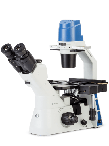 [filler_14141] Oxion inverso (biologico de platina invertida) - WP