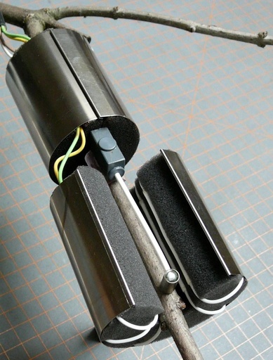 [filler_14377] EMS 62- flujo de savia de tallos pequeños - WP