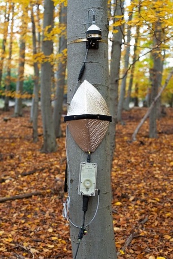 [filler_14379] EMS 81-Flujo de savia para arboles grandes - WP