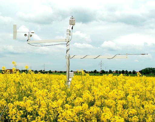 [filler_14383] Ratio de bowen - WP