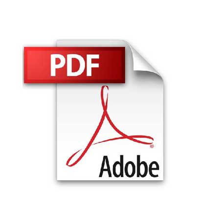 [filler_14445] Reportes - WP