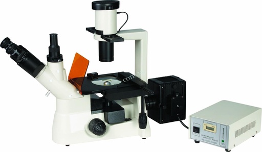 [filler_18433] Microscopio fluorescente invertido BellO-MicFluoInv-1 - WP