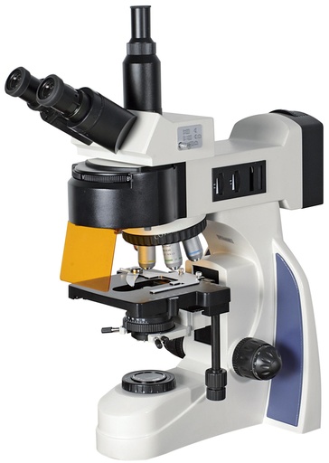 Microscopio fluorescente LED BellO-MicFlouLED-1 - WP