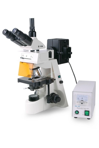 Microscopio Epi-fluorescente BellO-MicEpiFluo - WP