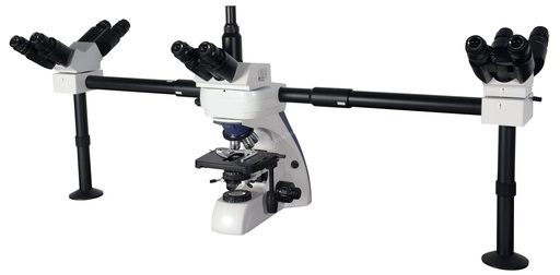 [filler_18503] Microscopio biologico BellO-MicBioDMV-1 - WP