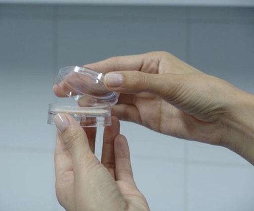 Petri Dishes