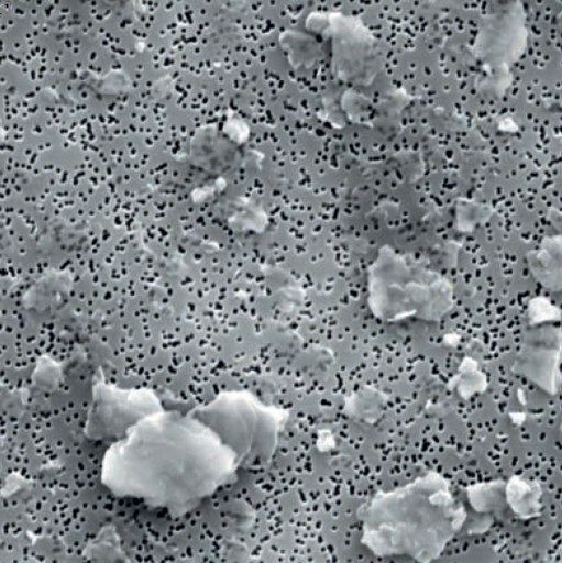 PETE (Polyester) Gold-Coated Membranes