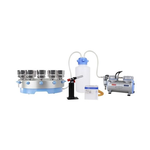 Manifold (Multi-Branch) Systems