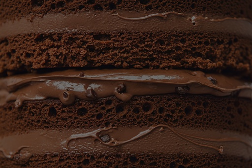 [filler_40143] Reometro DSR 500