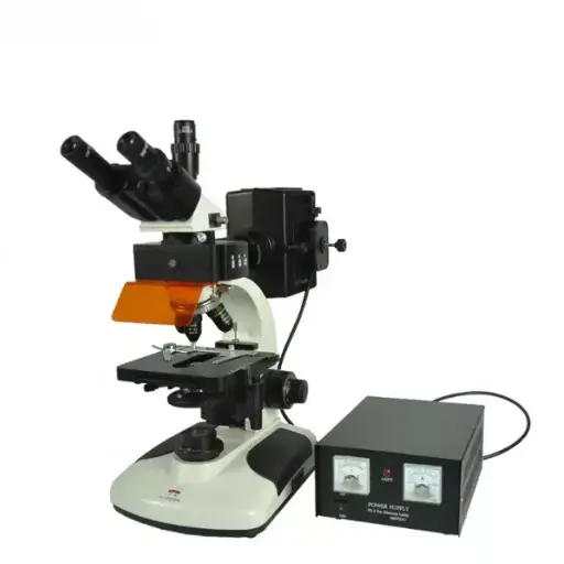 [b2-01-29-206] Microscopio fluorescente