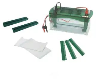 [b2-01-29-216] Sistema de electroforesis vertical Rapid SSR