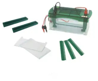 [b2-01-29-216] Sistema de electroforesis vertical Rapid SSR