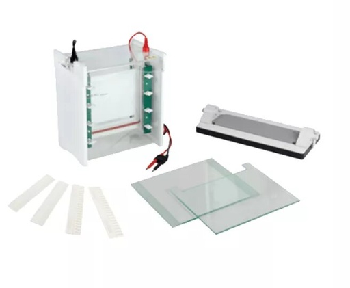 [b2-01-29-224] Tanque de electroforesis vertical