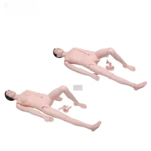 [b2-01-29-581] b2-01-29-581 · Maniqui de entrenamiento de enfermeria (masculino, femenino)