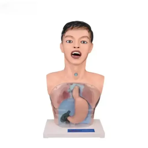 [b2-01-29-593] Lavado gastrico transparente